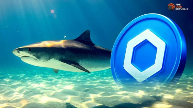 سعر Chainlink يواجه مخاطر مع قيام حوت بتحويل 984 ألف توكن LINK إلى Coinbase