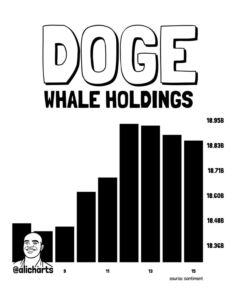 DOGE Whale Holdings | Source: X